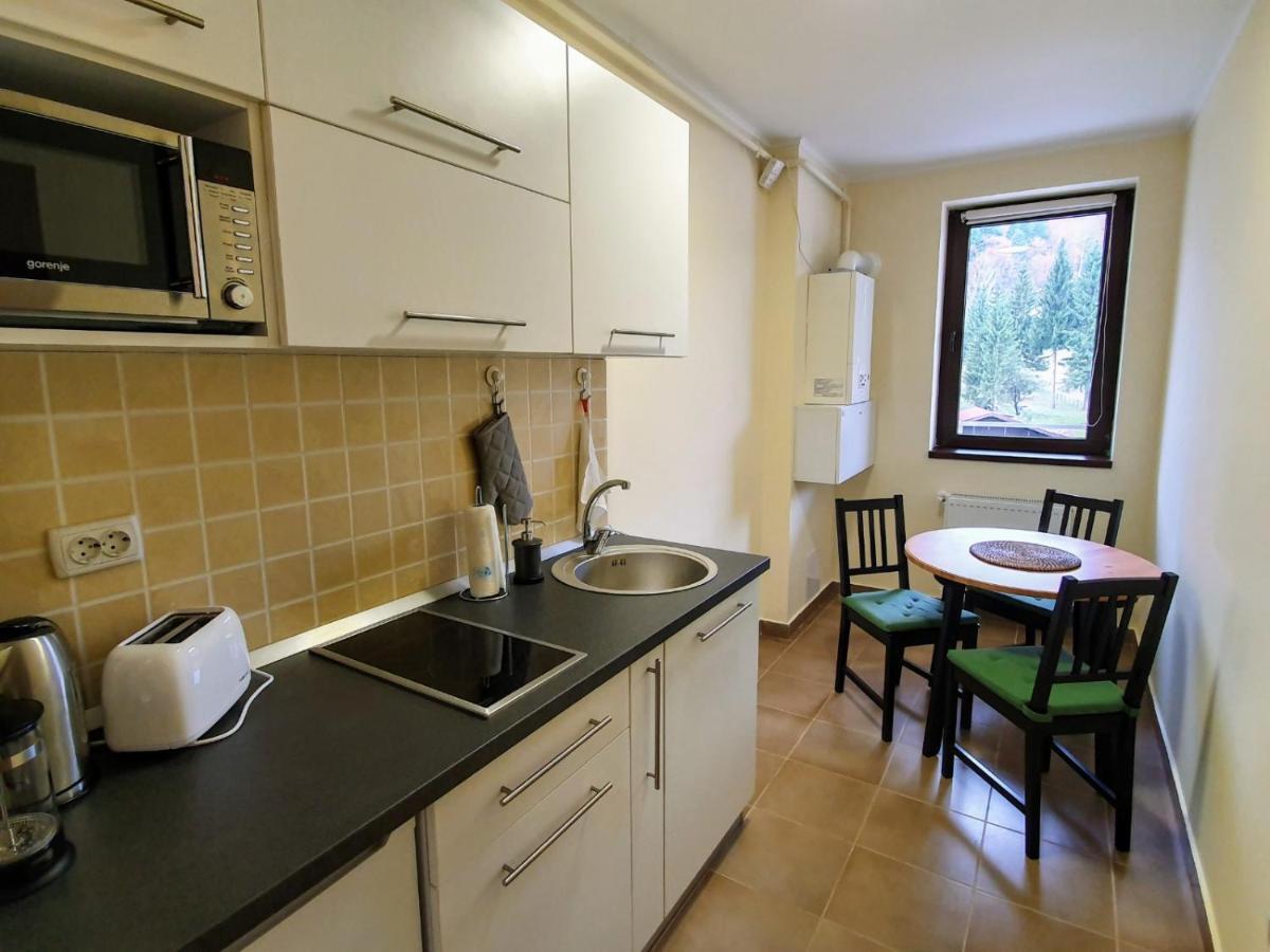 Studio Mountain View Sinaia Exterior foto